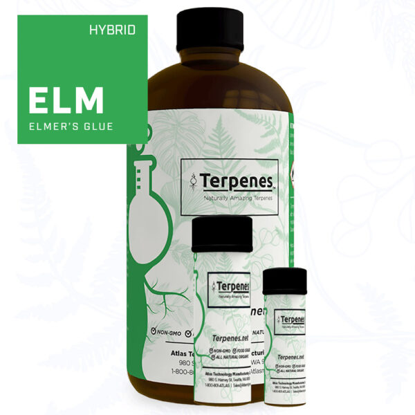 Elmer's Glue Terpenes